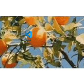 HTML5逐步分析实现拖放功能的方法