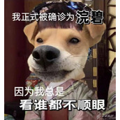 确诊式文学梗意思介绍