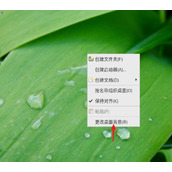 Debian怎么更换背景? Debian11 Mate设置桌面背景的技巧