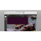 安装ubuntu21.04后你必须要了解的几件事