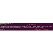 Ubuntu系统怎么禁止软件更新? 不升级指定软件的技巧