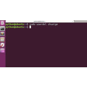 Ubuntu系统普通用户怎么删除? Ubuntu删除账户的教程