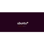 Ubuntu系统中怎么设置IP地址?