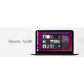 在Ubuntu 16.04中创建GIF动图的方法