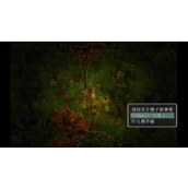 《农民的追求》巨大橡子任务攻略