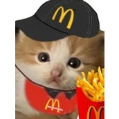 麦门BGM梗的来源和含义