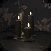 夜间日记中文版