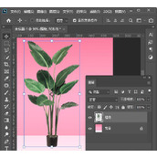 ps怎么给植物加阴影 ps给盆栽添加阴影的方法