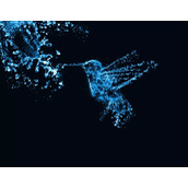 PS创意制作水溅效果动物形状照片教程