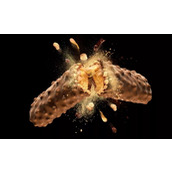 教你用ps制作一款食品破碎效果详细教程