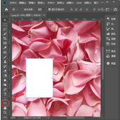 ps拍立得效果怎么做 ps制作拍立得效果的案例教程