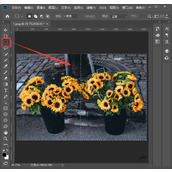 ps怎么给图片做出虚化效果 ps中2种快速虚化图片的教程