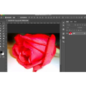ps如何更换图片区域颜色 ps更换图片区域颜色方法