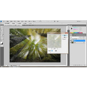 PS如何给森林增加强烈的光照效果?