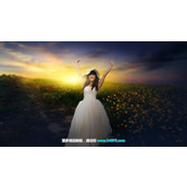 ps怎样给野花地旁的婚纱美女添加好看的霞光效果?