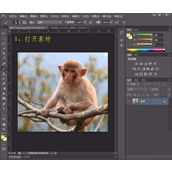 ps怎样把一只可爱的小猴子照片转成素描效果?