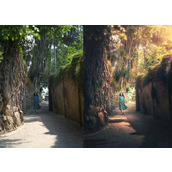 PS给照片添加柔光效果塑造黄昏暮色笼罩氛围