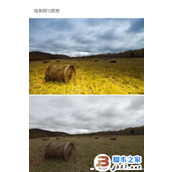 photoshop如何使用RAW格式插件将灰暗的草原调制出明亮的黄蓝色