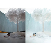 PS+LR把灯光昏暗背景杂乱的室内照片变得干净通透仙气十足教程