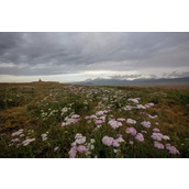 看大神后期如何用ps给风景照做景深合成,突破摄影极限