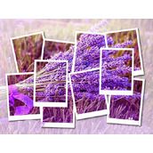 ps怎么给图片制作漂亮的拼贴叠加效果?