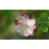 海棠书屋无弹窗免费小说阅读网址入口在哪