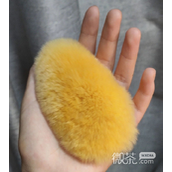 质疑芒狗理解芒狗养芒狗梗是什么意思详情