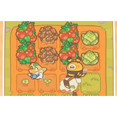 住客大人的心愿住客喜欢什么礼物