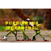 梦幻龙族2圣骑士加点(梦幻龙族骑士加点)（梦幻龙族2骑士堆什么属性）