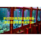 梦幻西游网页版海底探险(梦幻西游手游海底寻宝)（梦幻西游网页版海岛喽喽）