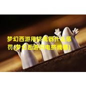 梦幻西游用挤线器什么惩罚(梦幻西游闪电挤线器)（梦幻用挤线器苦行吗）