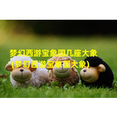 梦幻西游宝象国几座大象(梦幻西游宝象国大象)（梦幻西游场景宝象国中有共有几座大象造型的雕像）