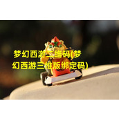 梦幻西游二维码(梦幻西游三维版绑定码)（梦幻西游怎么生成二维码）