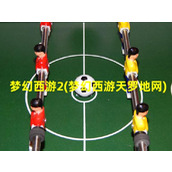 梦幻西游2(梦幻西游天罗地网)（梦幻天罗地网伤害2020）