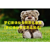 梦幻新诛仙合欢怎么加点(梦幻诛仙合欢怎么加点)（梦幻新诛仙合欢搭配什么仙友）