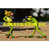 桃园阵容技能(桃园职业加点)（桃园加点属性）