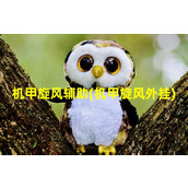 机甲旋风辅助(机甲旋风外挂)（机甲旋风装备大全）