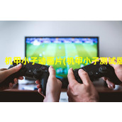 机甲小子动画片(机甲小子测试版)（我想看机甲小子）