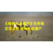 全面解析《植物大战僵尸》生存模式攻略(打造完美防线征战《植物大战僵尸》生存模式)