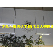 木头人奇遇记下载(木头人奇遇记)（《木头人》）