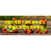 《提灯与地下城》宠物选择推荐前中后期的最佳战友(2)())