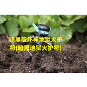 暗黑破坏神地狱火护符(暗黑地狱火护符)（暗黑破坏神地狱火装备）