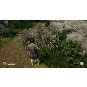 《战国王朝》鸟蛋怎么获取