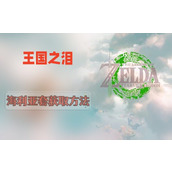 王国之泪海利亚套装怎么得