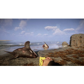 《森林之子》时间代码大全