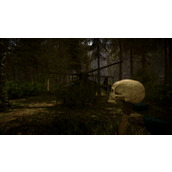 《森林之子》传送代码是什么