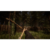 《森林之子》食物代码大全