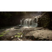 《森林之子》物品代码大全一览表