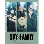 《间谍过家家第二季》动画全集免费观看全集