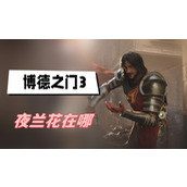 博德之门3夜兰花在哪